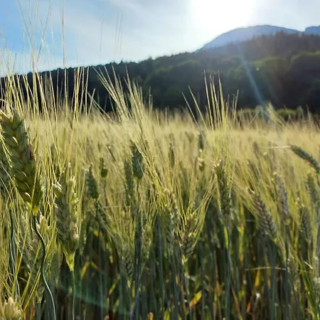 Tagtraeumerei By Interhome Langkampfen