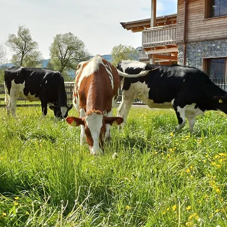 Tagtraeumerei By Interhome * Langkampfen